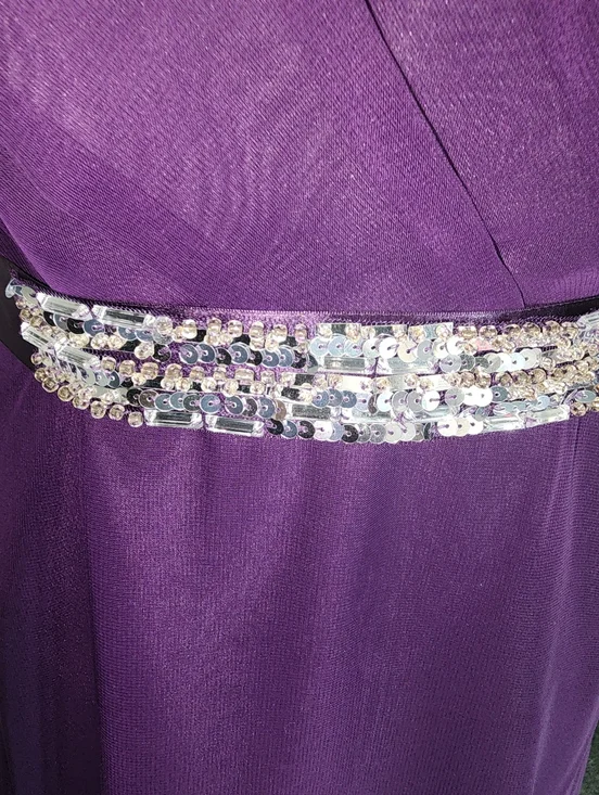 Davinci Dress Rhinestones and Sequins Ribbon Belt Sash Purple Size 10 - Picture 11 of 14